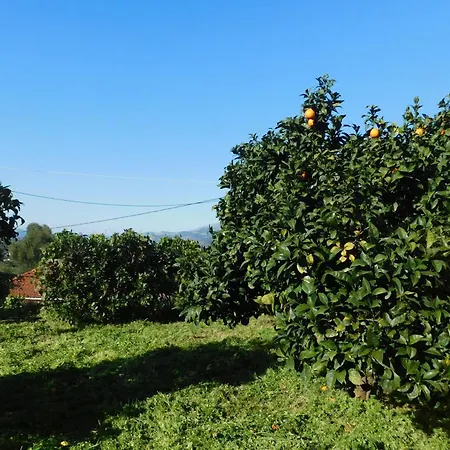 Adonino Residence-the House Of Pomegranates בית נופש Lakíthra