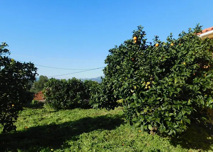 Adonino Residence-the House Of Pomegranates Ferienhaus Lakíthra